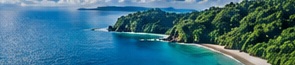 Paisaje costero con vegetación tropical · Imagen ilustrativa generada con IA